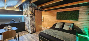 Chalet cosy avec vue imprenable